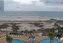 The Beach Club Gulf Shores Alabama | Live Cam Video