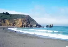 Pacifica Surf Cam New In California