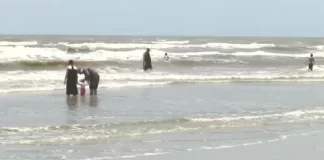 Galveston Beach Live Surf Cam New In Texas