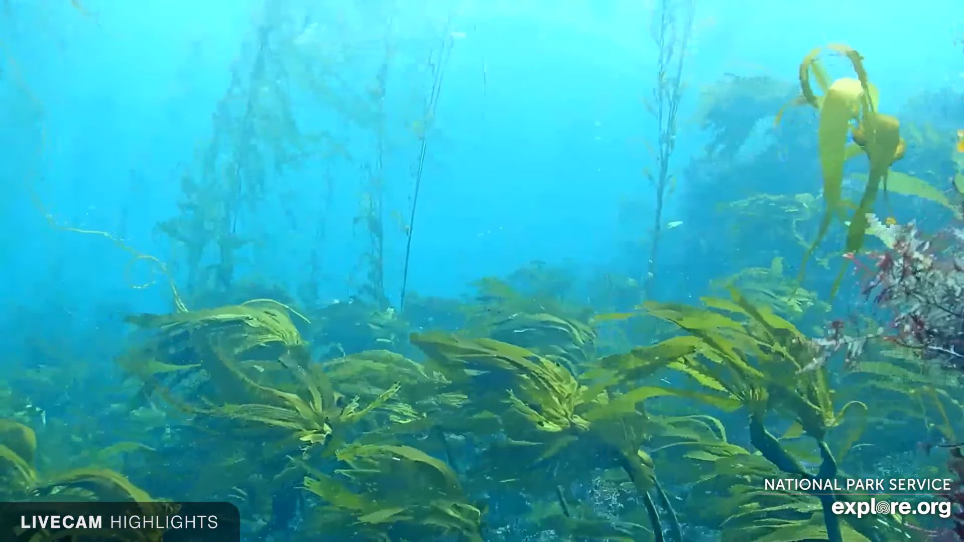 Anacapa Islands – Ventura County, California