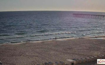 Calypso Towers Beach Live Cam Panama City Beach, Florida
