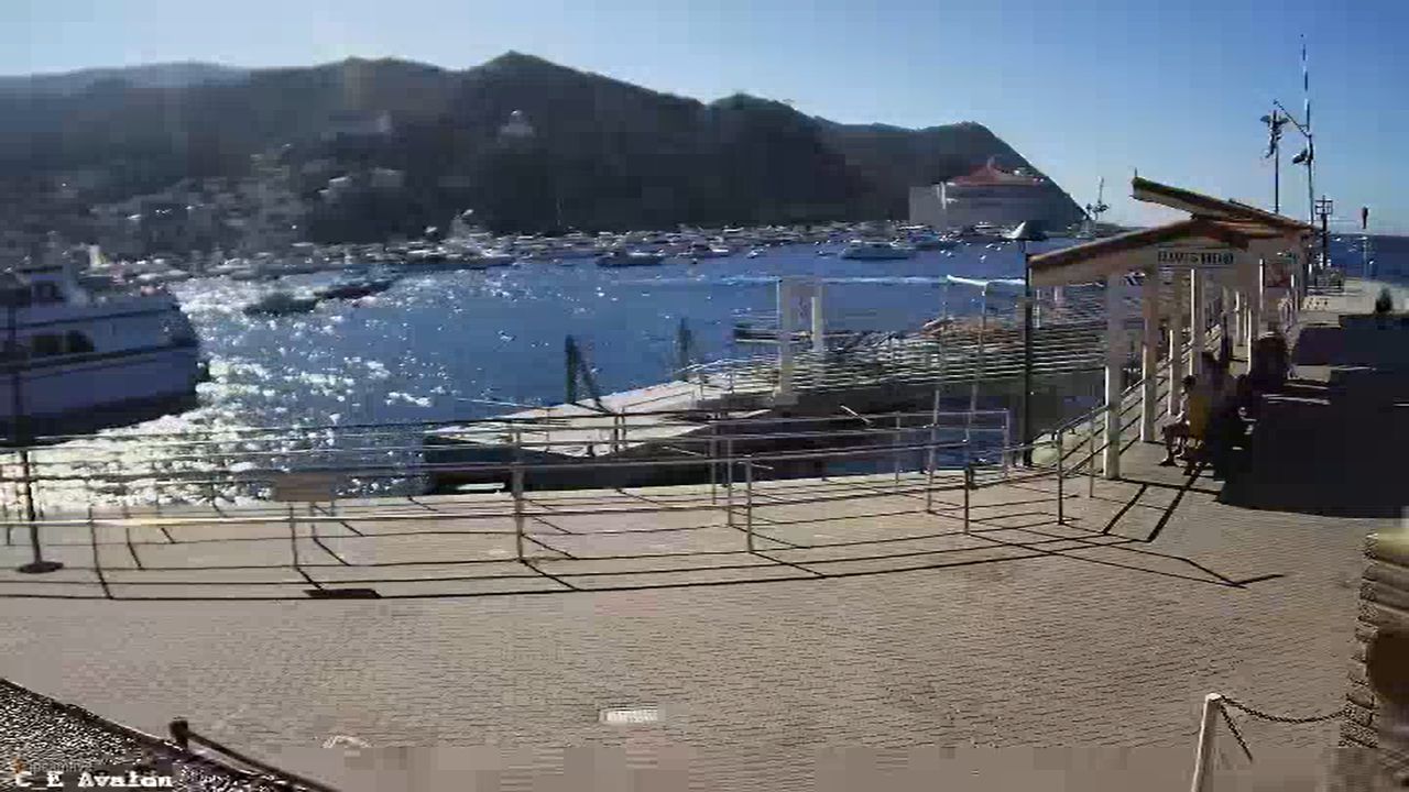 Catalina Express Live Cam – Avalon, California