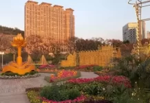 Dra. Laurinda M. Esparteiro Garden New In China