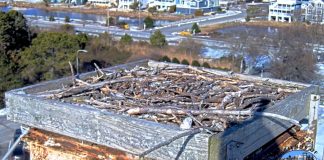 Fenwick Island Live Stream Cam New In Delaware