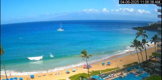 Hula Grill Maui Webcam - Hawaii - Live Hd Video