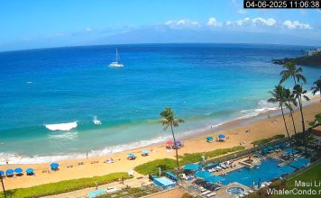 Hula Grill Maui Webcam - Hawaii - Live Hd Video