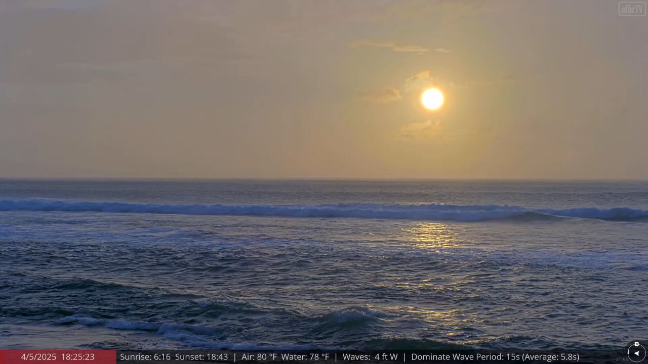 Humpback Whale Sanctuary Maui Webcam