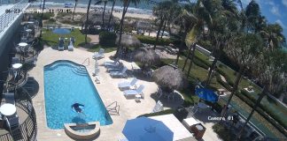 High Noon Beach Resort Pool Live Cam New Florida