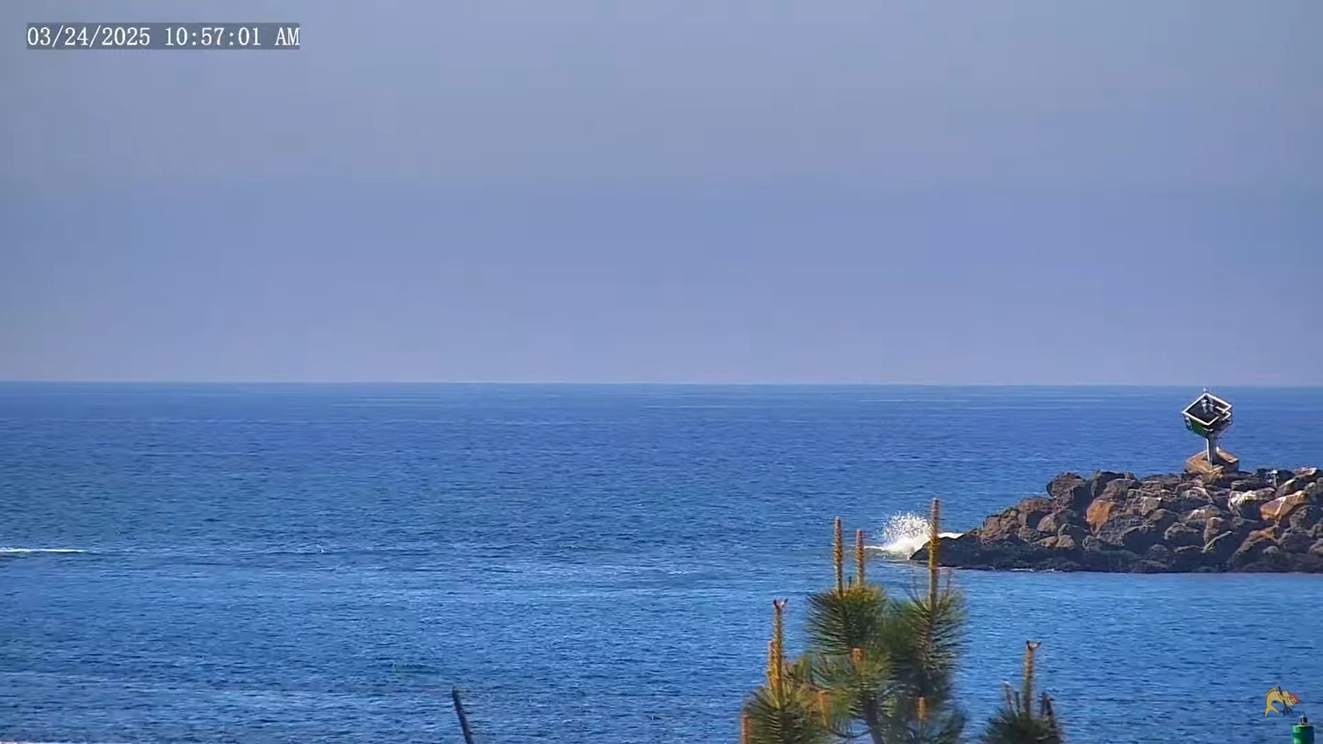 Live Webcam Oceanside, California