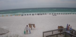 Westwinds Live Cam In Sandestin Florida