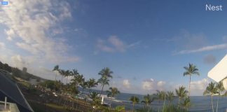 Pacific Tsunami Museum Webcam New In Hawaii