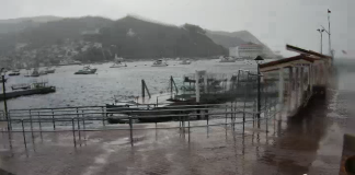 Avalon Harbor Live Webcam In California