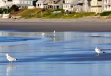 Rye Beach Live Weather Cam In New Hampshire