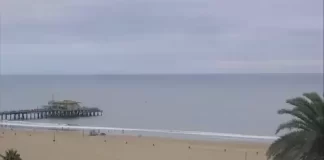 Santa Monica Pier Live Webcam New In California, Usa