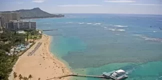 Hilton Hawaiian Village Waikiki Beach Resort Webcam New