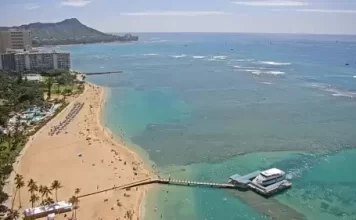 Hilton Hawaiian Village Waikiki Beach Resort Webcam New