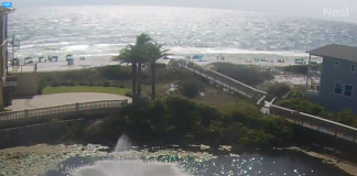 San Remo Condos Live Beach Stream New In Florida