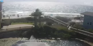 San Remo Condos Live Beach Stream New In Florida