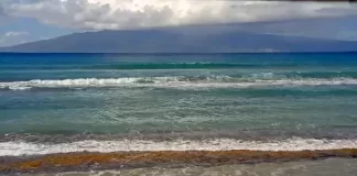 Maui Ocean Center Webcam New In Maui, Hawaii
