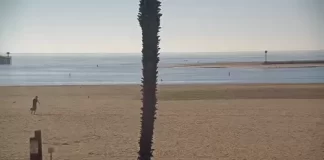 Santa Barbara Surf Cam New In California