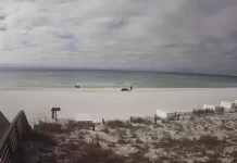 Beachside 2 Live Cam New In Destin, Florida, Usa
