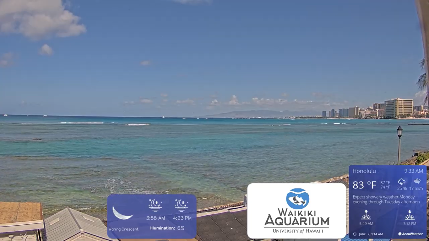Waikiki Beach Live Webcam in Oahu, Hawaii