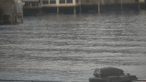 Adventures by the Sea Live Webcam – Monterey, California