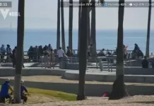 Venice Beach Live Cam New In California