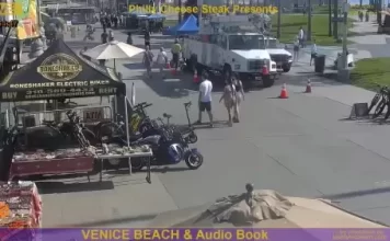 Venice Beach Muscle Beach Live Webcam New In California