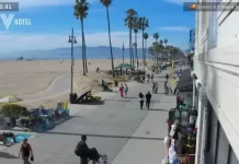 Muscle Beach Venice Live Cam