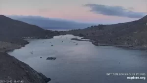 Catalina Island Live Webcam New In California
