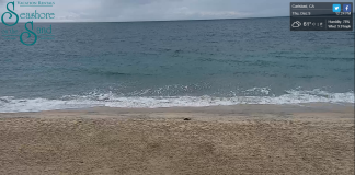 Seashore On The Sand Beach Cam