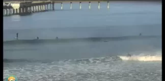 Imperial Beach Live Webcam New In California