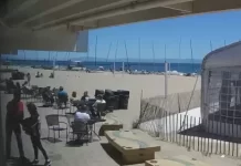 Dig Santa Cruz Harbor Beach Live Cam New In California