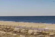 Sea Colony Live Beach Cam New In Delaware