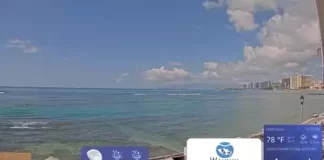 Hilton Hawaiian Village Waikiki Beach Resort Webcam New