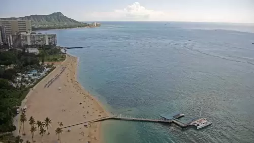Honolulu live stream