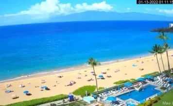 Hula Grill Live Stream Webcam New In Hawaii