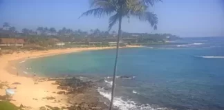 Kauai Hawaii Webcam New