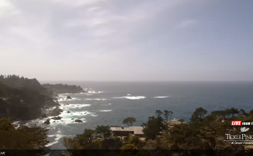 Tickle Pink Inn Live Webcam New In California
