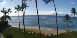 Maui Sea Shell Condo Beach Cam New In Hawaii