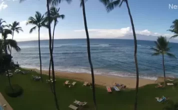 Maui Sea Shell Condo Beach Cam New In Hawaii