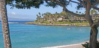 Napili Kai Beach Maui Resort Live Cam New In Hawaii