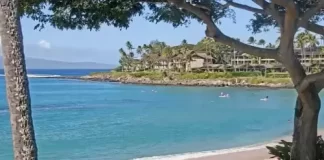 Napili Kai Beach Maui Resort Live Cam New In Hawaii
