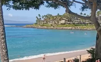 Napili Kai Beach Maui Resort Live Cam New In Hawaii