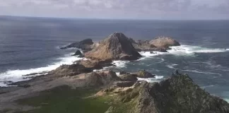 Farallon Islands Live Webcam California