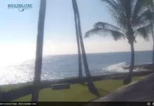 Whalers Cove Kauai Webcam New In Hawaii