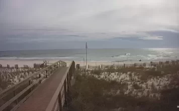 Perdido Beach Resort Orange Beach Live Cam