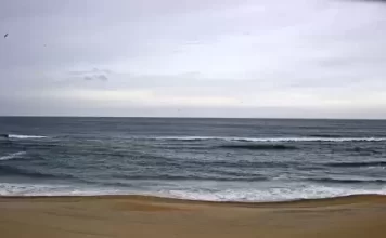 Webcam Duck, Nc