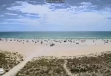 Beach Resort Condos Live Cam New In Florida, Usa